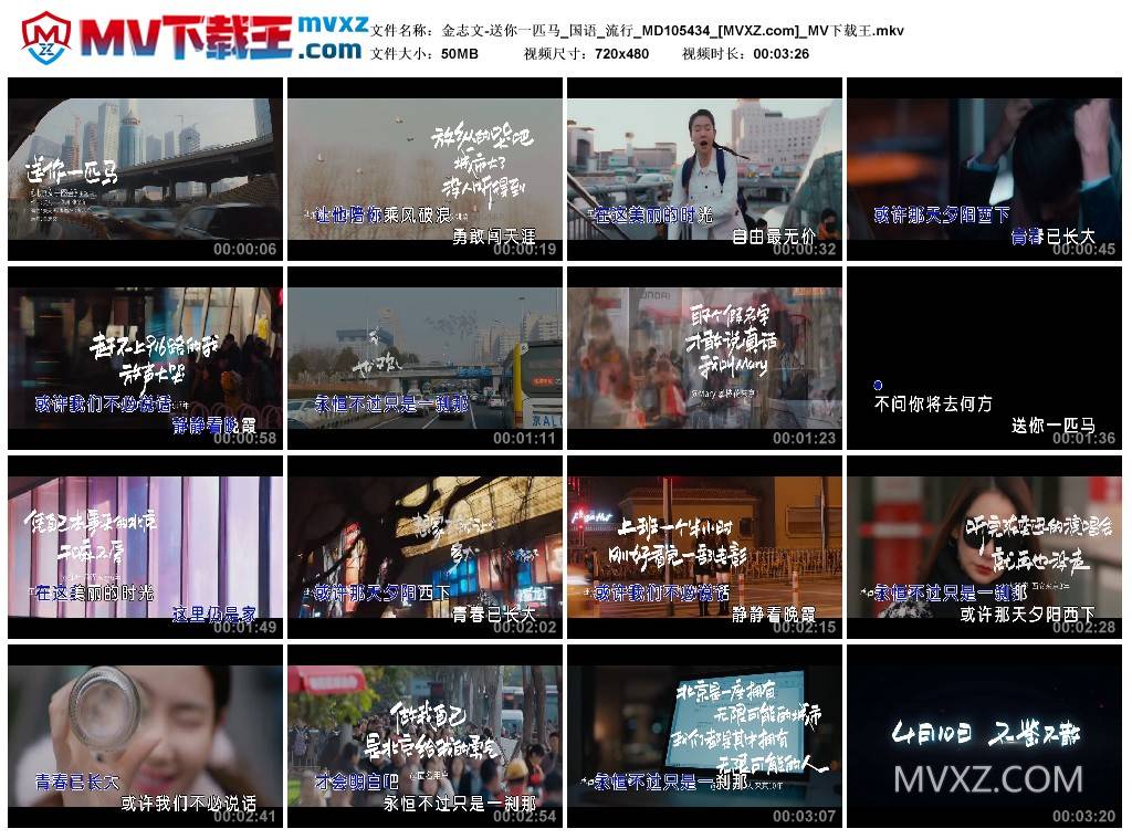 金志文-送你一匹马_国语_流行_MD105434